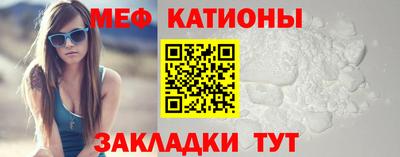 прущие грибы Краснодар
