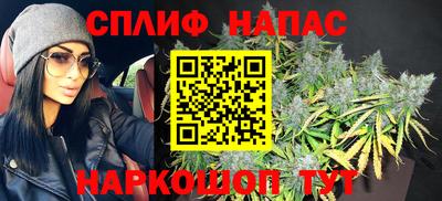 прущие грибы Краснодар