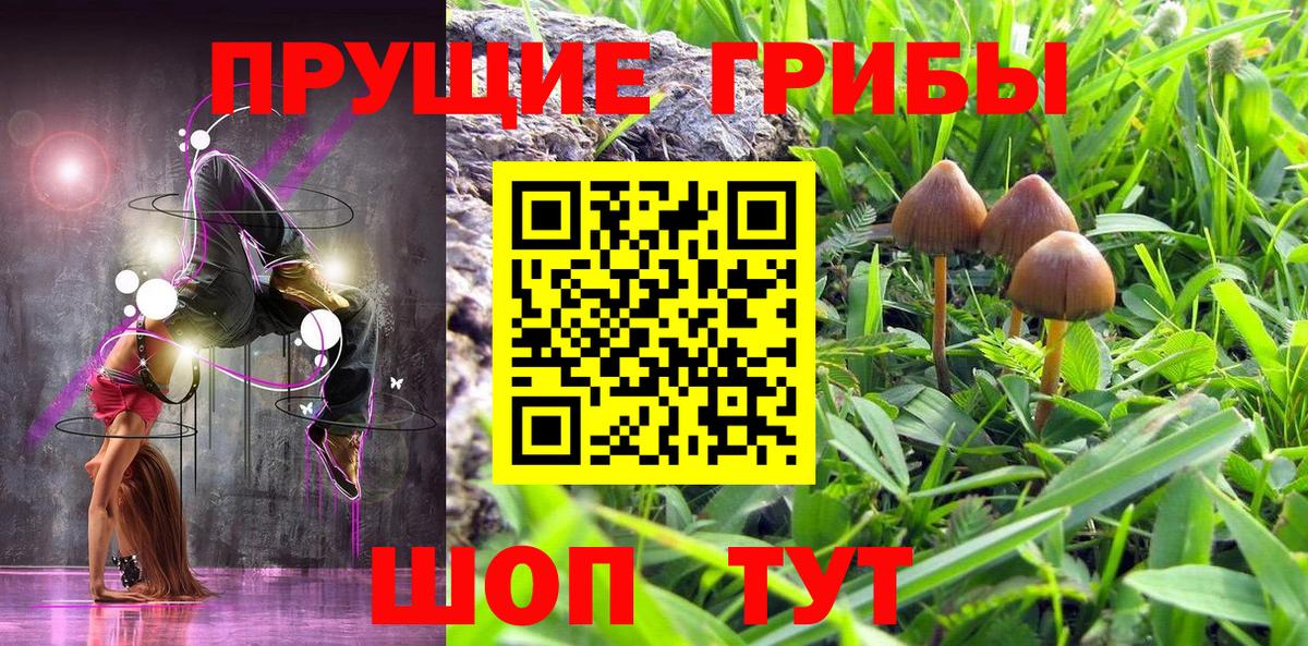 Барабинск  Псилоцибиновые грибы Psilocybe  Вход с VPN 